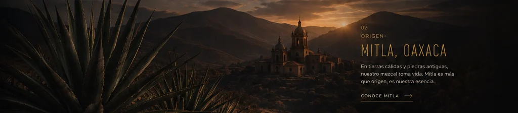 Paisaje de agave de la referencia local Sin Problema